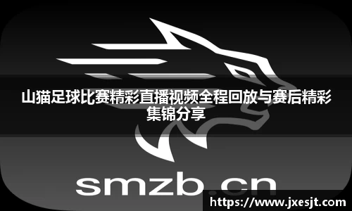 安信13娱乐