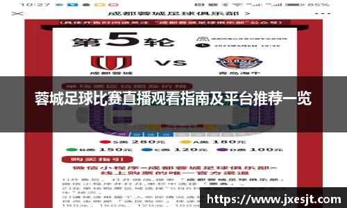 蓉城足球比赛直播观看指南及平台推荐一览