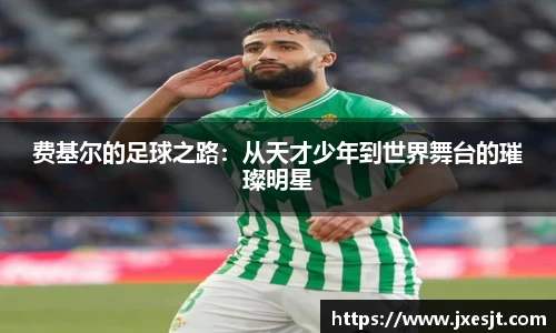 费基尔的足球之路：从天才少年到世界舞台的璀璨明星